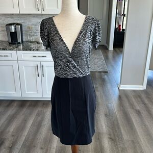 Express sheer top zebra print dress